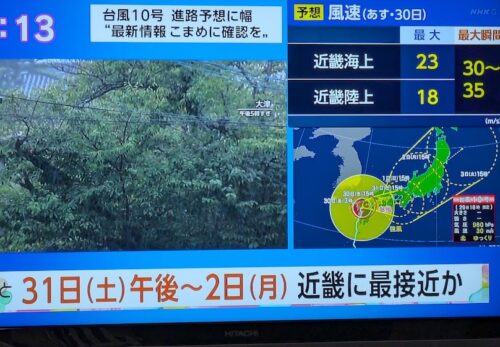 麻心、台風接近の為臨時休業！