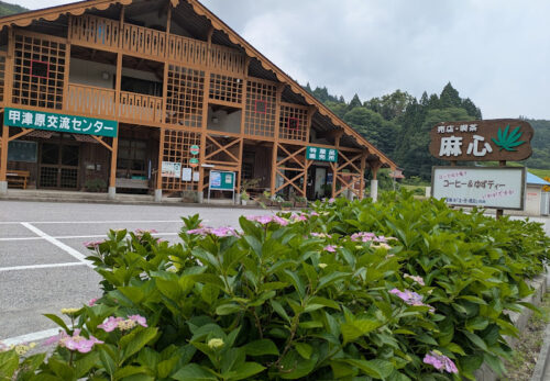 7月の麻心！
